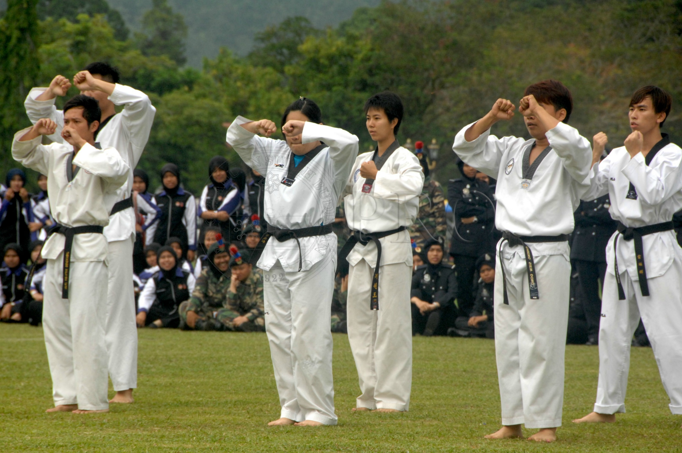 PRO 14 43 KKO IDA 0991